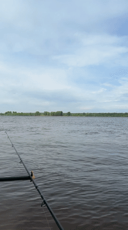 Morning fishing documented on Russian waterway near Noviy