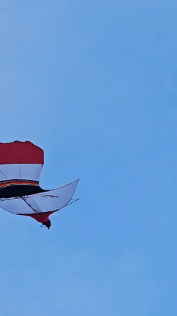 Beach ceremony, Balinese procession, and kite festival converge in Denpasar