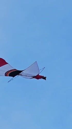 Beach ceremony, Balinese procession, and kite festival converge in Denpasar