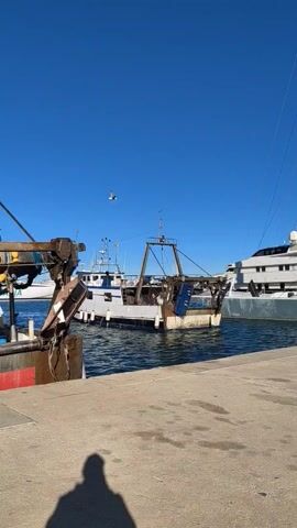 The video shows a harbor scene with a fishing boat in the foreground and a large yacht docked in the background. Several seagulls are flying in the clear blue sky. The fishing boat is white with blue accents and has a large metal frame on its stern, likely for handling nets. The yacht is multi-decked and gray. A piece of rusted harbor equipment with chains and a weathered metal sign is positioned on the left side of the frame, casting a shadow on the concrete pier. The water is calm with slight ripples.
