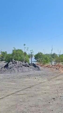 The video shows a view from a moving vehicle, possibly a car, looking out at a coastal or wetland area. The sky is clear and blue. In the foreground, there is a dry, dirt road with some sparse vegetation and debris. Along the edge of the road, there are black and white striped posts, likely marking a boundary or hazard. Beyond the road, there is a body of water, possibly brackish, with trees, many of which appear to be mangroves, growing in or near the water. The trees have green foliage, and some have bare branches. The water level seems to be low, exposing muddy areas or roots. The overall scene suggests a natural, somewhat undeveloped environment.