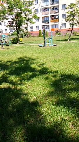 The video captures a view of a grassy area with trees and shadows cast by the sun. In the background, a residential building with multiple stories and balconies is visible. There are also some outdoor exercise equipment pieces scattered across the grass. The scene appears to be a park or a common area in a residential neighborhood. The camera is positioned outdoors, likely on the ground or at a low angle, looking upwards towards the building and across the park.