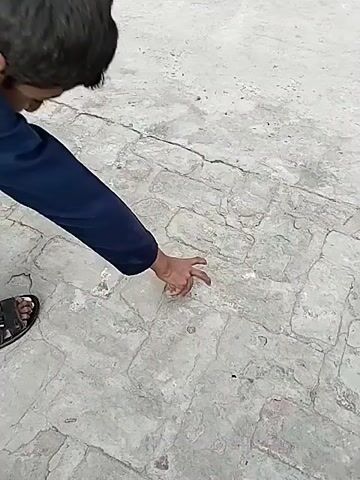 In Dera Chahal, Pakistan, a daytime outdoor scene shows a person from the waist down, wearing a dark blue garment (likely a shalwar kameez) and black sandals. The person is standing on a light grey, rough paved surface made of irregular bricks or stones. Their right hand holds a small, dark, irregularly shaped object, possibly a stone or a piece of earth. The person appears to be looking down at the object or the ground, with their arm slightly raised as if preparing to move or interact with the object. The background shows a light-colored wall and a slightly raised concrete structure. The lighting indicates it is bright daylight, and there is no visible text.