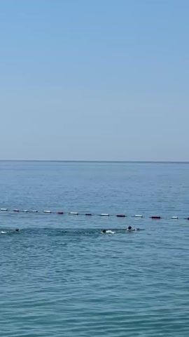 A wide shot displays a calm blue ocean under a clear blue sky. A horizontal line of alternating red and white buoys marks a swimming area in the mid-ground. Several individuals are swimming in the ocean, with their heads mostly visible above the water, some appearing to be snorkeling or swimming freestyle near the buoy line. The water is clear and the scene is brightly lit by natural sunlight.