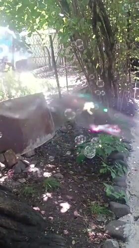 Backyard playtime with bubbles and toys in Khashuri