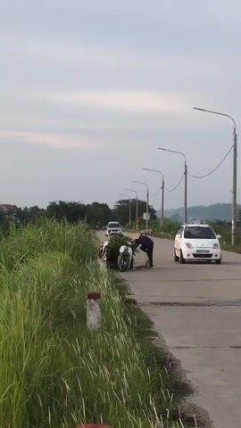 The video shows a person wearing a conical hat and purple clothing standing next to a motorcycle loaded with greenery on the side of a paved road. The person appears to be arranging or adjusting the load on the motorcycle. Several other motorcycles and a silver van are visible on the road in the background. Tall, grassy vegetation lines the left side of the road. Streetlights are spaced along the right side of the road. The sky is overcast.