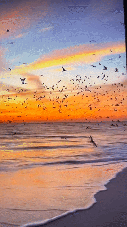 Evening wildlife and rural scenes documented in Tinaquillo, Venezuela