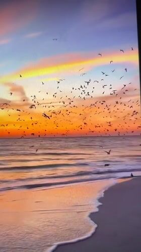 Evening wildlife and rural scenes documented in Tinaquillo, Venezuela