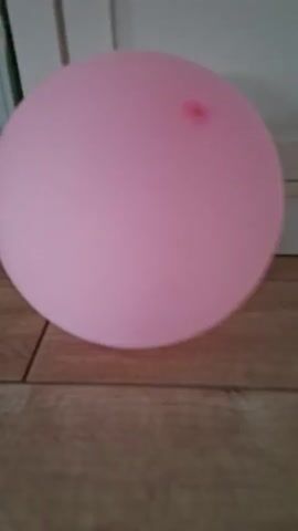 The video opens on a pink balloon in motion, blurred against a wooden floor and a white baseboard. The camera pans to the right, revealing a stuffed dog lying on a patterned rug. The dog, predominantly brown and beige with curly fur, is positioned in a lying down posture. Behind the dog, a black object, possibly a stapler, is visible on a white surface. The camera continues to focus on the stuffed dog.