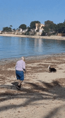 Afternoon coastal leisure activities observed along Dénia waterfront