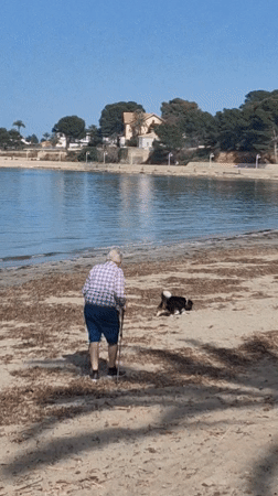 Afternoon coastal leisure activities observed along Dénia waterfront