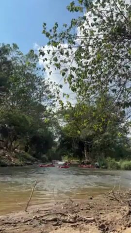 The video shows a wide river flowing swiftly, carrying a group of people on red inflatable rafts or inner tubes. Lush green trees line both banks of the river, partially obscuring the view. The sky is bright blue with scattered white clouds. The camera is positioned on the riverbank, close to the ground, with a few exposed tree roots visible. The rafts are spread out, each carrying one or more people, and they appear to be enjoying a leisurely float down the river.