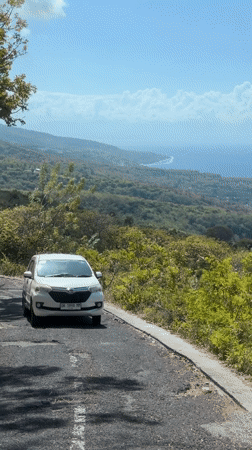 White car navigates a curved, tree-lined road on Nusa Penida