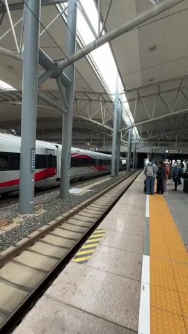 A silver and red high-speed train is pulling out of a station under a high, modern, gray-toned roof supported by numerous steel beams and pillars. Three people are standing on the platform, waiting for the train. The platform edge is marked by a yellow safety line.  The train appears to be heading into a tunnel or enclosed section of the station. The weather is bright, though slightly hazy.