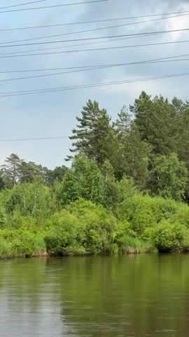 The video shows a wide, slow-moving river with a dark, reflective surface. The riverbanks are lined with dense, lush green foliage and trees, including some tall pines. Overhead, power lines are visible against a cloudy sky. The scene is peaceful and natural, with no signs of human activity other than the power lines. The water appears calm, with gentle ripples disturbing the reflection of the trees and sky. The overall impression is one of a serene, undeveloped natural landscape.