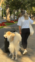 Afternoon sidewalk moments in Tel Aviv