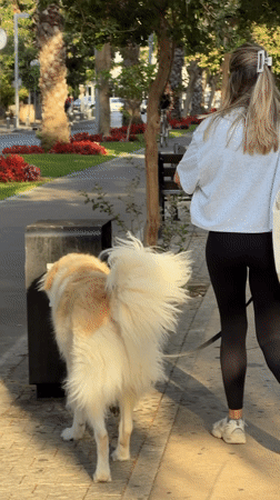 Afternoon sidewalk moments in Tel Aviv