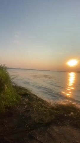 This is a landscape video showing a serene natural scene. The primary subjects are a body of water, likely a lake or river, and the sky. The sun is visible, low in the sky and shining brightly, casting a golden reflection across the water. The shoreline in the foreground is covered in grass and some dirt and debris. A tree is visible on the right side of the frame, its leaves rustling gently.

The time of day is clearly sunset or sunrise, given the position of the sun and the warm, golden light. The weather appears calm and pleasant, with clear skies and minimal wind, indicated by the gentle ripples on the water.

The video captures a peaceful and tranquil moment in nature. The setting suggests a rural or semi-rural location, with the distant horizon hinting at land, possibly with some man-made structures like power lines or chimneys. The overall mood is one of calm and beauty. There is no visible text in the video.