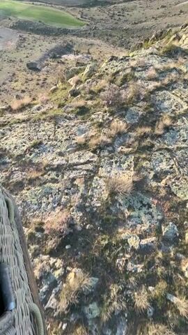 The video captures a hot air balloon experience, beginning with a downward view from inside a basket. The initial shot looks down onto a rugged, rocky hillside with sparse, dry vegetation, bathed in the warm light of either sunrise or sunset. Part of the woven basket of the camera's balloon is visible in the bottom left.

As the camera pans up, an expansive landscape unfolds, featuring rolling, arid hills, scattered cultivated green fields, and a significant body of water—likely a reservoir or lake—in the distance. The sky is clear, and the golden light illuminates the scene.

Several other colorful hot air balloons are visible in the distance, gracefully floating across the clear sky. The focus then shifts to one particular white hot air balloon that approaches closely, descending slightly as it passes by. This balloon is adorned with vibrant butterfly motifs (blue, yellow, smaller blue) and stylized colorful tulips. The words "Tulip Balloons" are prominently displayed in a cursive font, along with the registration number "TC-BT2". People can be seen inside the basket of this passing balloon, enjoying the scenic flight over the dry, rocky terrain characteristic of areas like Yeşilhisar, Turkey.