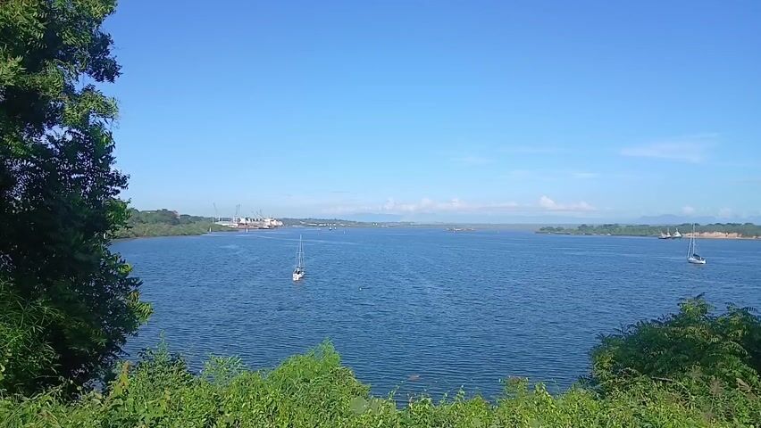 The video shows a wide shot of a bay on a clear, sunny day. The water is a deep blue, and several sailboats are scattered across the water. In the distance, on the left side of the frame, there appears to be a harbor with cranes and industrial structures. The opposite shore is visible, covered with greenery.  The foreground is framed by green foliage and trees, creating a natural border on the left and right sides of the frame. The sky is a bright, cloudless blue.