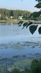 Summer morning along the Amur River and Blagoveshchensk outskirts