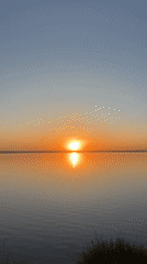 Sunset over water captured by multiple witnesses