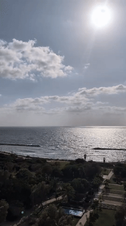 Tel Aviv coastline and cityscape from a sunny rooftop vantage