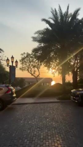 Here is a description of the video:

The video depicts a sunset scene.  A brick-paved parking area is visible in the foreground with cars parked on either side.  In the background, the setting sun casts a golden glow over the ocean, visible behind a building.  Trees, including a palm tree, frame the scene, partially obscuring the view. The sky is a gradient of orange and yellow. A lamppost is visible on the left side of the frame.