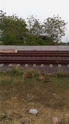 The video captures a view from a moving vehicle, likely a train, showing a section of train tracks. The tracks are laid on gravel and are bordered by greenery. In the background, trees are visible, and the sky appears overcast. The camera pans across the scenery, creating a sense of motion.
