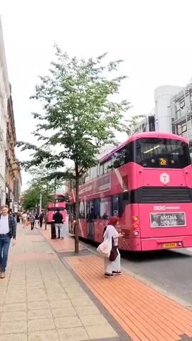 A pink double-decker bus with the number 2 on its front is parked at a bus stop. A woman in a white shirt and blue jeans is standing near the bus. In the background, a large building with glass windows is visible, and a sign that reads "CastleCourt" is displayed on the building. There are also large yellow letters spelling out "BELFAST" in front of the building. People can be seen walking on the sidewalk and sitting on benches. Trees and streetlights are also present in the scene. The weather appears to be overcast.