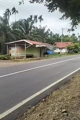 A paved road with a white dividing line runs diagonally across the frame from the bottom left to the upper right. On the left side of the road, there is a small, light-colored building with a red roof and an open-fronted extension. A wooden bench is visible inside the extension. Further back, also on the left side of the road, is a white building with a red roof and several windows. Behind these buildings, there are palm trees and other lush green vegetation. A utility pole with wires stands to the right of the white building. The sky is overcast. The video appears to be filmed from a moving vehicle.
