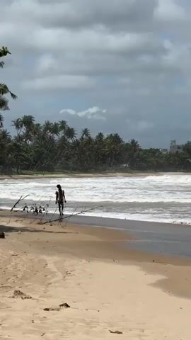 The video captures a scenic view of a tropical beach in Dondra, Sri Lanka, on a partially cloudy day. A lone figure, an individual wearing dark shorts and a light-colored top, walks along the sandy shoreline, facing away from the camera. They are near the water's edge, where white-capped waves crash rhythmically onto the beach.

In the background, a dense line of lush green palm trees stretches across the horizon, characteristic of a tropical coastline. Beyond the palm trees, a few buildings can be glimpsed in the distance. The sky above is a mix of bright white and grey clouds, suggesting variable weather conditions. In the foreground, several pieces of driftwood or fallen branches lie on the golden sand. The overall scene depicts a serene and natural beach environment.