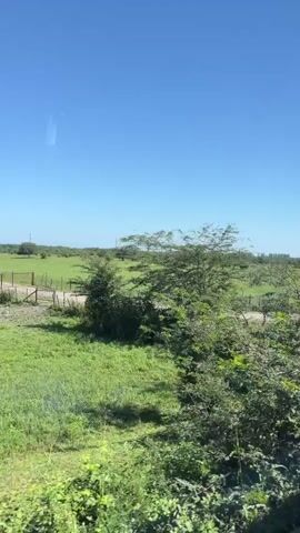 This is a video of a rural landscape with a clear blue sky. In the foreground, there are green bushes and trees. In the midground, there is a fenced-in green pasture with a dirt road running through it. Several trees are scattered across the field, and some distant trees line the horizon. The overall scene depicts a bright, sunny day in a pastoral setting.