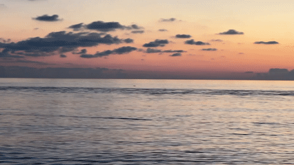Sunset beach activities captured along Black Sea coast in Sirius
