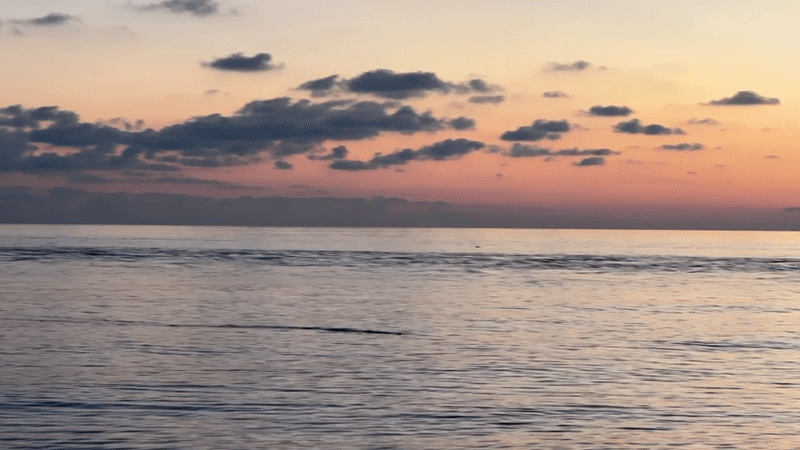 Sunset beach activities captured along Black Sea coast in Sirius
