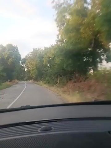A first-person perspective video shows a car driving down a two-lane asphalt road lined with trees on both sides. The road appears to be in a rural area. The sun is shining, and the sky is visible through the trees. The car's dashboard is visible in the foreground. The video is taken from inside the car.