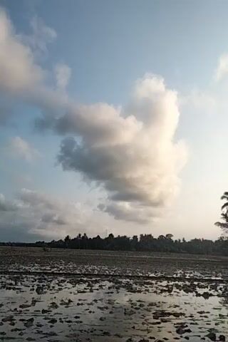 The video shows a landscape scene with a blue sky and clouds. In the foreground, there is a body of water with a muddy bottom. Further back, there are trees and fields. The camera appears to be moving. The overall impression is of a rural or natural environment.