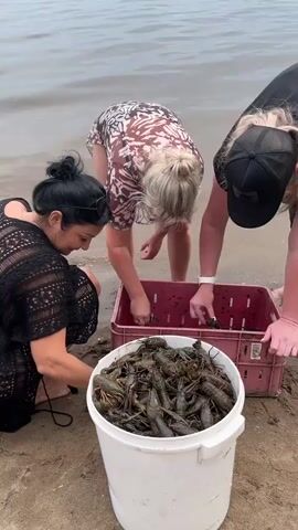 Three women are on a sandy shore next to a body of water. In the foreground, a white bucket is filled with numerous live crawfish. Behind the bucket, a pink plastic crate also contains crawfish. The woman on the left, with dark hair pulled back, is crouching and appears to be sorting or handling crawfish from the bucket. The woman in the center, with blonde hair, is bent over the pink crate, also handling crawfish. The woman on the right, wearing a black baseball cap, is also bent over the crate, her hands near the crawfish. The water's edge is visible behind them, and some waves are breaking on the shore. Another person's legs are visible on the right side of the frame, and a portion of a man's torso is visible in the background. The overall scene depicts the collection or processing of crawfish.
