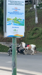 Evening leisure activities observed around Xuan Huong Lake, Da Lat