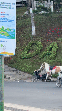 Evening leisure activities observed around Xuan Huong Lake, Da Lat