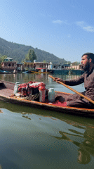 Shikara boats and houseboats on Dal Lake, Srinagar
