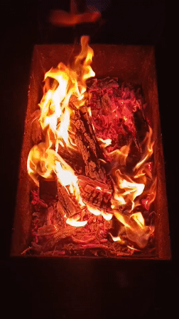 Evening moments captured in Botovo: bonfire, dusk sky, calico cat