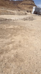 Person walks through arid Israeli desert near NEVO building