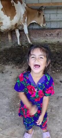 A young girl with dark hair in pigtails, wearing a purple dress with a floral pattern, is looking at the camera and smiling. She has her finger in her nose. Behind her, a calf with brown and white markings stands in a dirt enclosure with some hay.