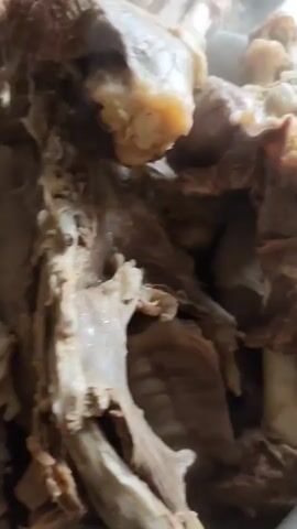 The video shows large pieces of meat with bones boiling in a large pot. The meat appears to be in a broth, and steam is rising from the pot. The camera zooms in on the meat, showing the texture of the cooked meat and bones. The overall environment appears to be a kitchen.