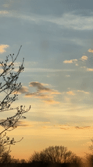 Evening scenes captured in Riga: sunset sky, aircraft, orchid