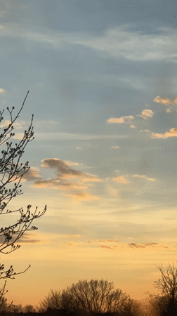 Evening scenes captured in Riga: sunset sky, aircraft, orchid