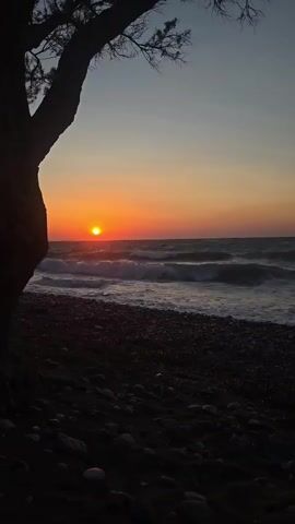 A static, eye-level shot shows a beach scene at sunset. The sun is a bright orange circle on the horizon, casting an orange glow across the sky and reflecting on the choppy water. Waves crash onto a pebbled shore, which is in the foreground. A dark silhouette of a tree trunk and branches is on the left side of the frame, obscuring a portion of the sunset. The sky is a gradient of blue and orange, with no clouds visible.