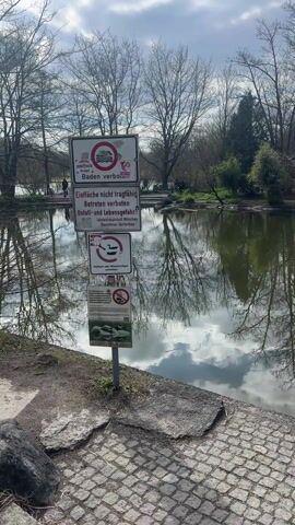 The video shows a pond in a park with several German-language signs posted nearby. The pond reflects the sky, which is partly cloudy with a blue background.  Around the pond, there are trees without leaves and some green patches.  In the background, people are walking. A building on the pond is visible with golden accents and a statue inside. The pond is surrounded by greenery and trees.