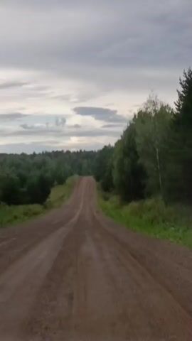 A dirt road winds uphill through a wooded landscape under a cloudy sky. The road is brown and appears to be unpaved, with tire tracks visible. To the right of the road, there are trees and foliage. To the left, there is more vegetation and a dense forest in the distance. The sky is overcast with gray clouds, with some lighter patches suggesting a break in the clouds or the horizon. The scene suggests a rural or natural setting.